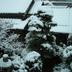 屋外の景色