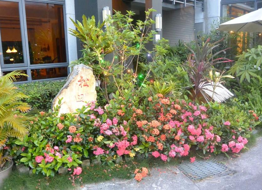 屋外の景色 写真