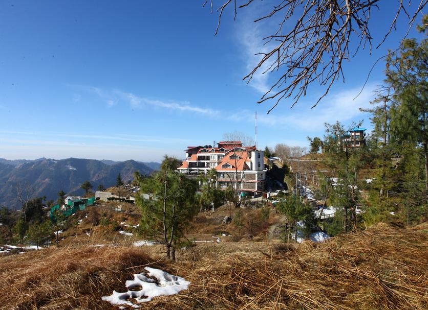 屋外の景色 写真