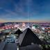 屋外の景色