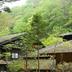 屋外の景色