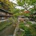 屋外の景色