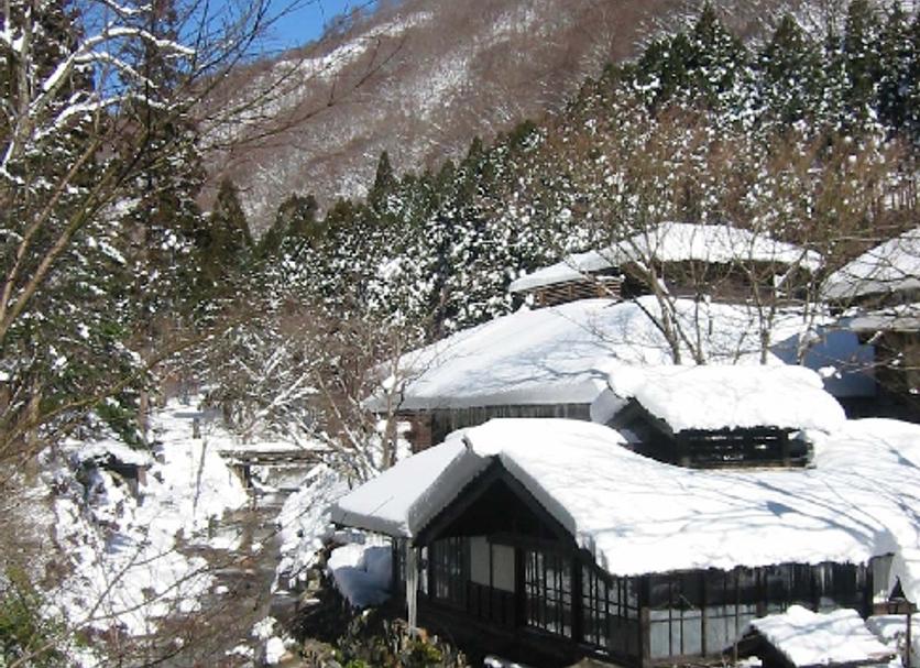屋外の景色 写真