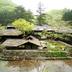 屋外の景色