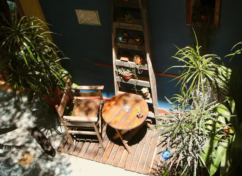 屋外の景色 写真