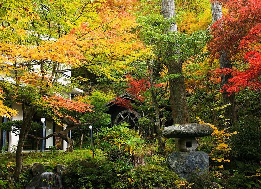 屋外の景色 写真