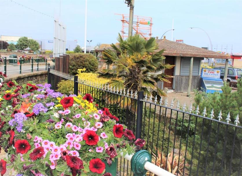 屋外の景色 写真