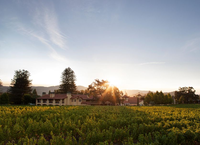 屋外の景色 写真