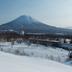 屋外の景色