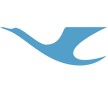 厦門航空